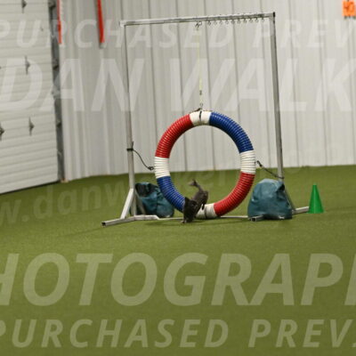 Felina-Samantha-Yanchik-07746