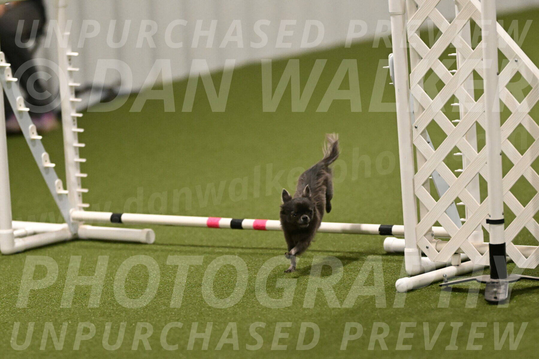 Felina-Samantha-Yanchik-07749