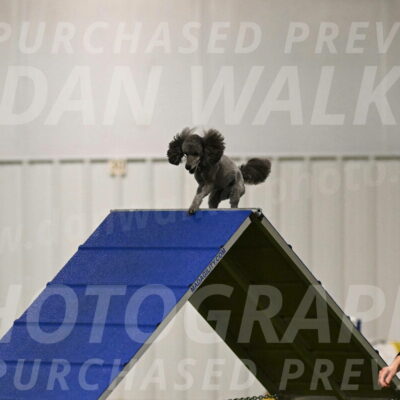 Fizz-Lori-Bieber-00084