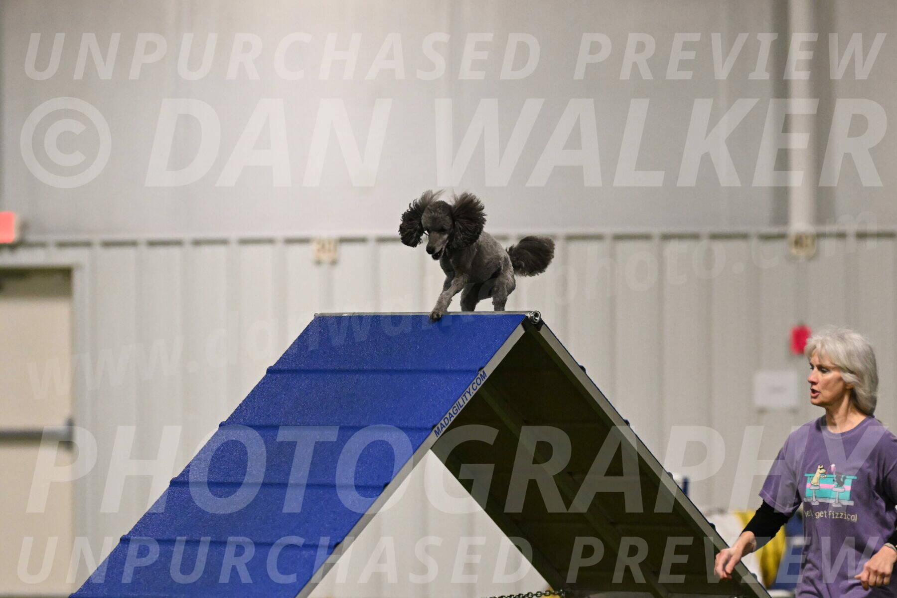 Fizz-Lori-Bieber-00084