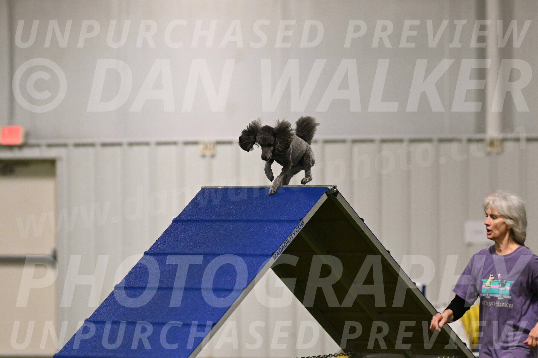 Fizz-Lori-Bieber-00085