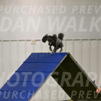 Fizz-Lori-Bieber-00085