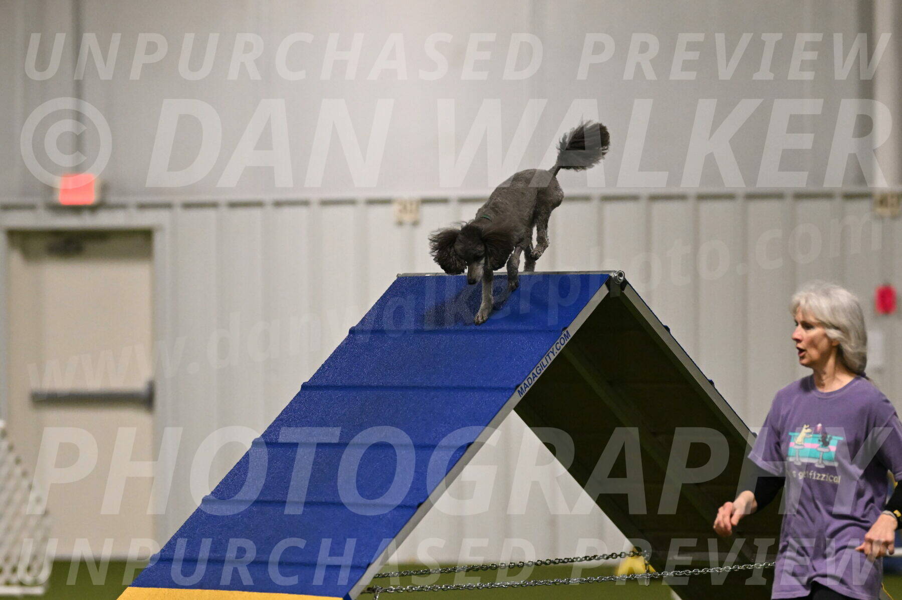 Fizz-Lori-Bieber-00086