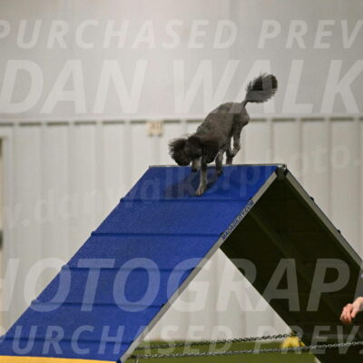 Fizz-Lori-Bieber-00086