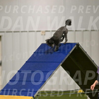 Fizz-Lori-Bieber-00087