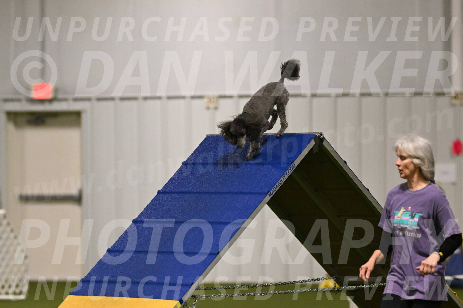 Fizz-Lori-Bieber-00087