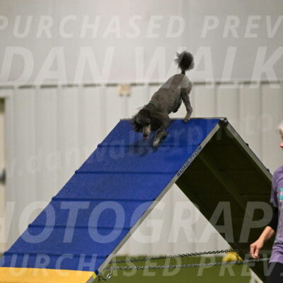 Fizz-Lori-Bieber-00088