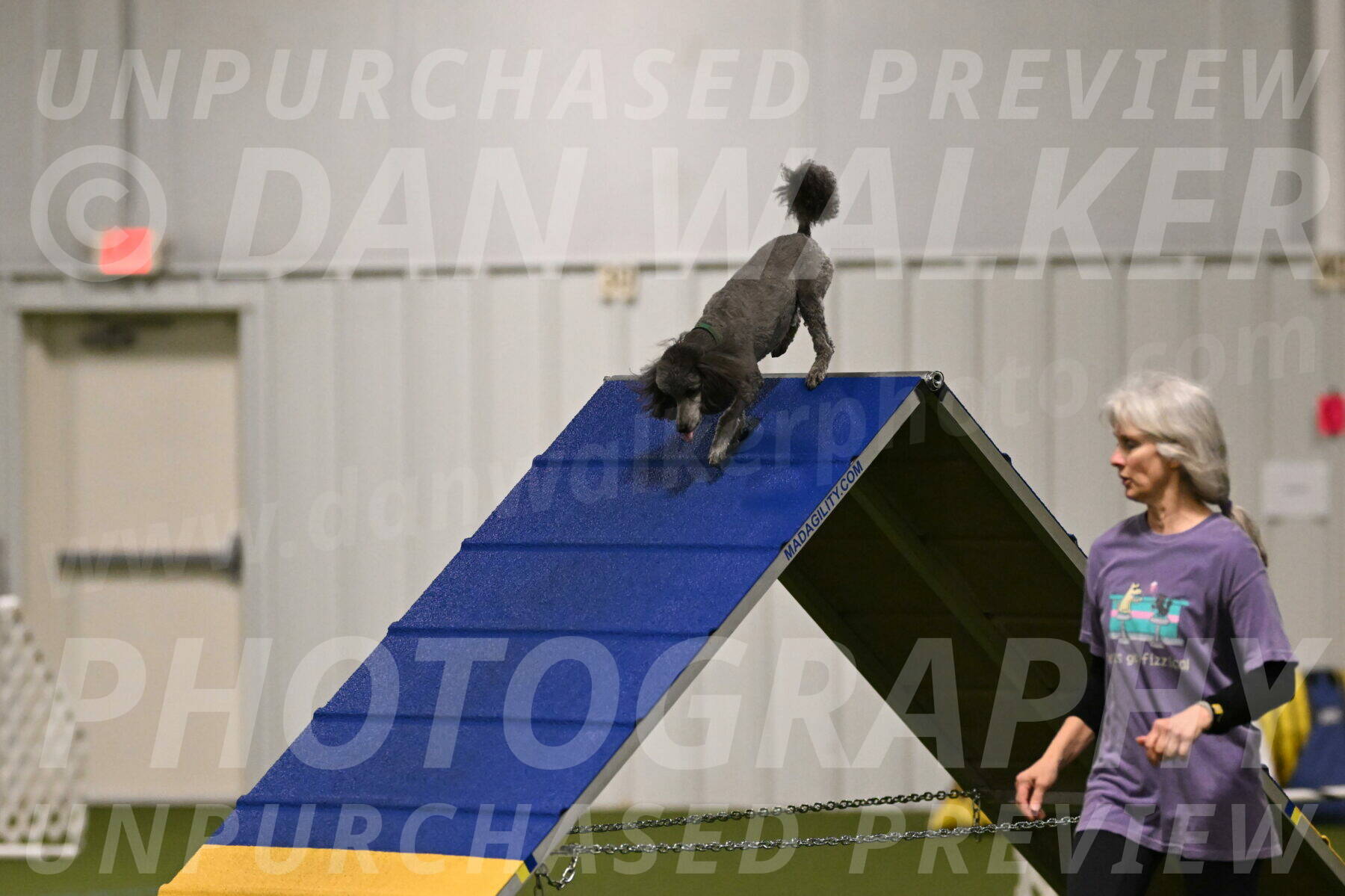 Fizz-Lori-Bieber-00088