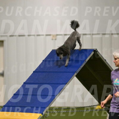 Fizz-Lori-Bieber-00089