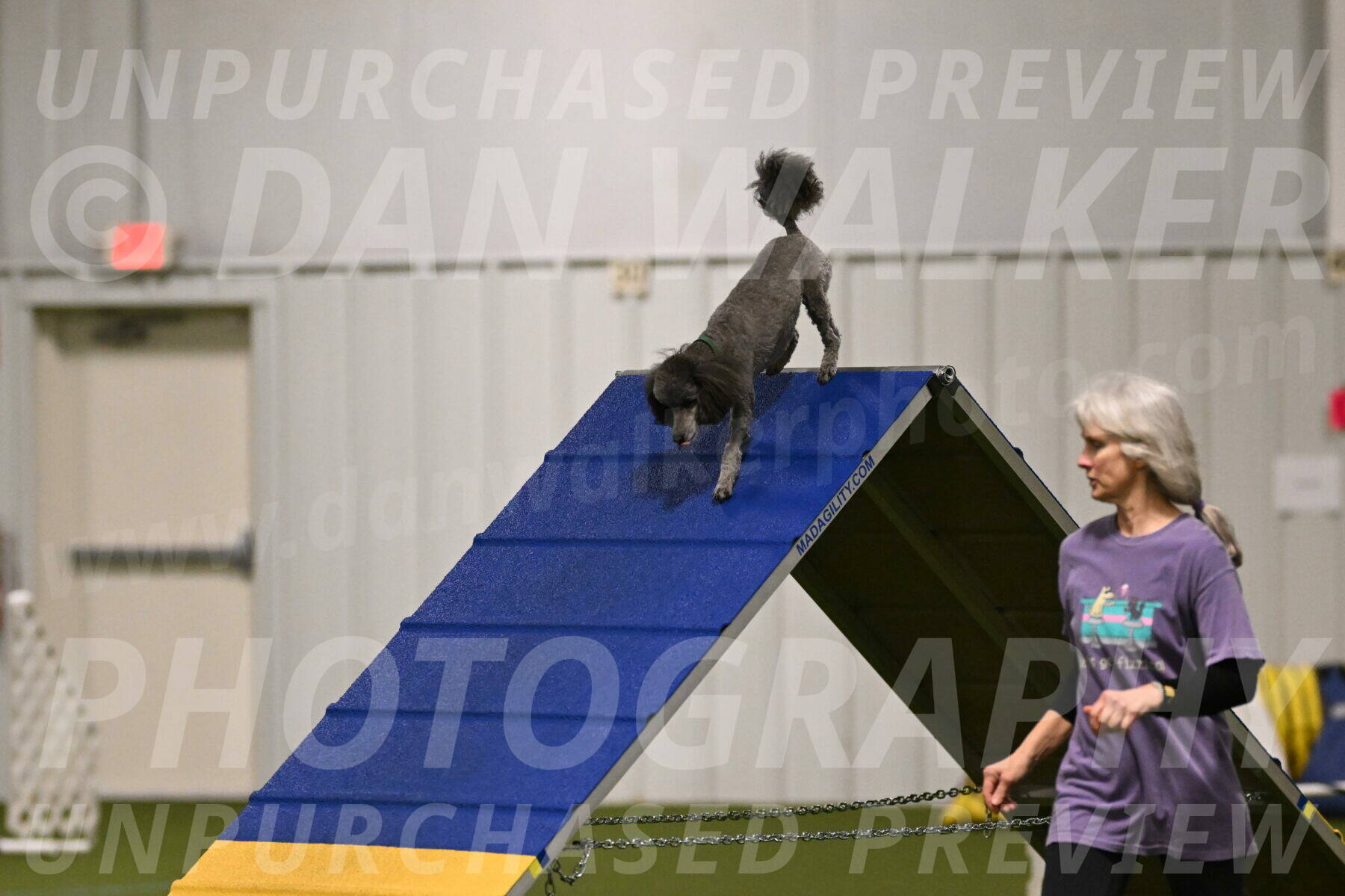 Fizz-Lori-Bieber-00089