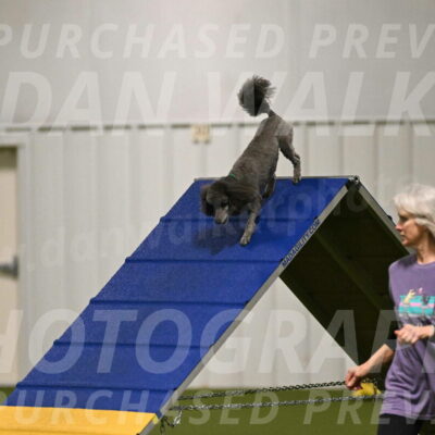 Fizz-Lori-Bieber-00090