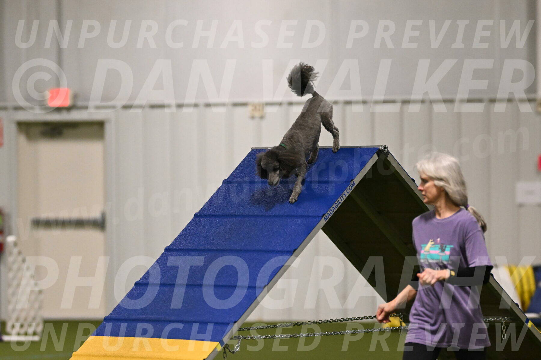 Fizz-Lori-Bieber-00090