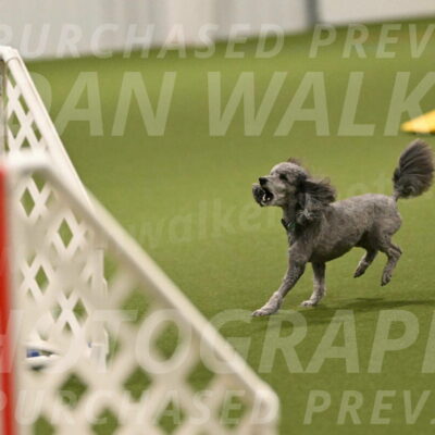 Fizz-Lori-Bieber-00092