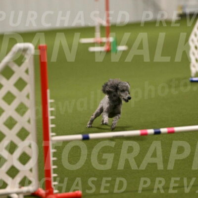 Fizz-Lori-Bieber-00093