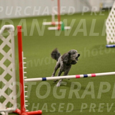 Fizz-Lori-Bieber-00094