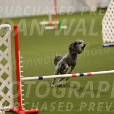 Fizz-Lori-Bieber-00095