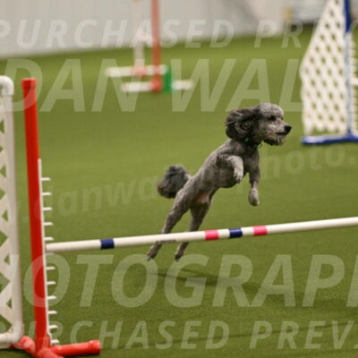 Fizz-Lori-Bieber-00096