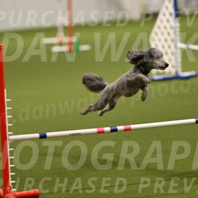 Fizz-Lori-Bieber-00097