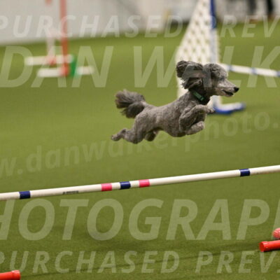 Fizz-Lori-Bieber-00098