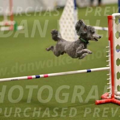 Fizz-Lori-Bieber-00099