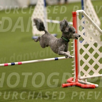 Fizz-Lori-Bieber-00100