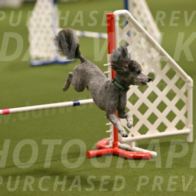 Fizz-Lori-Bieber-00101