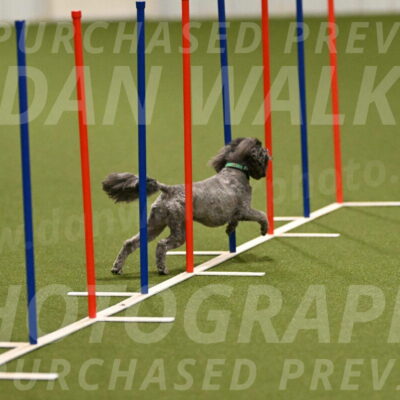 Fizz-Lori-Bieber-00102