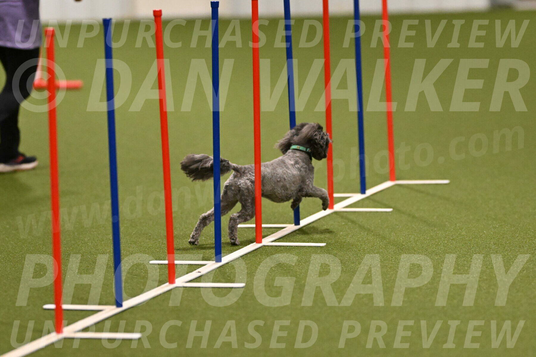 Fizz-Lori-Bieber-00102