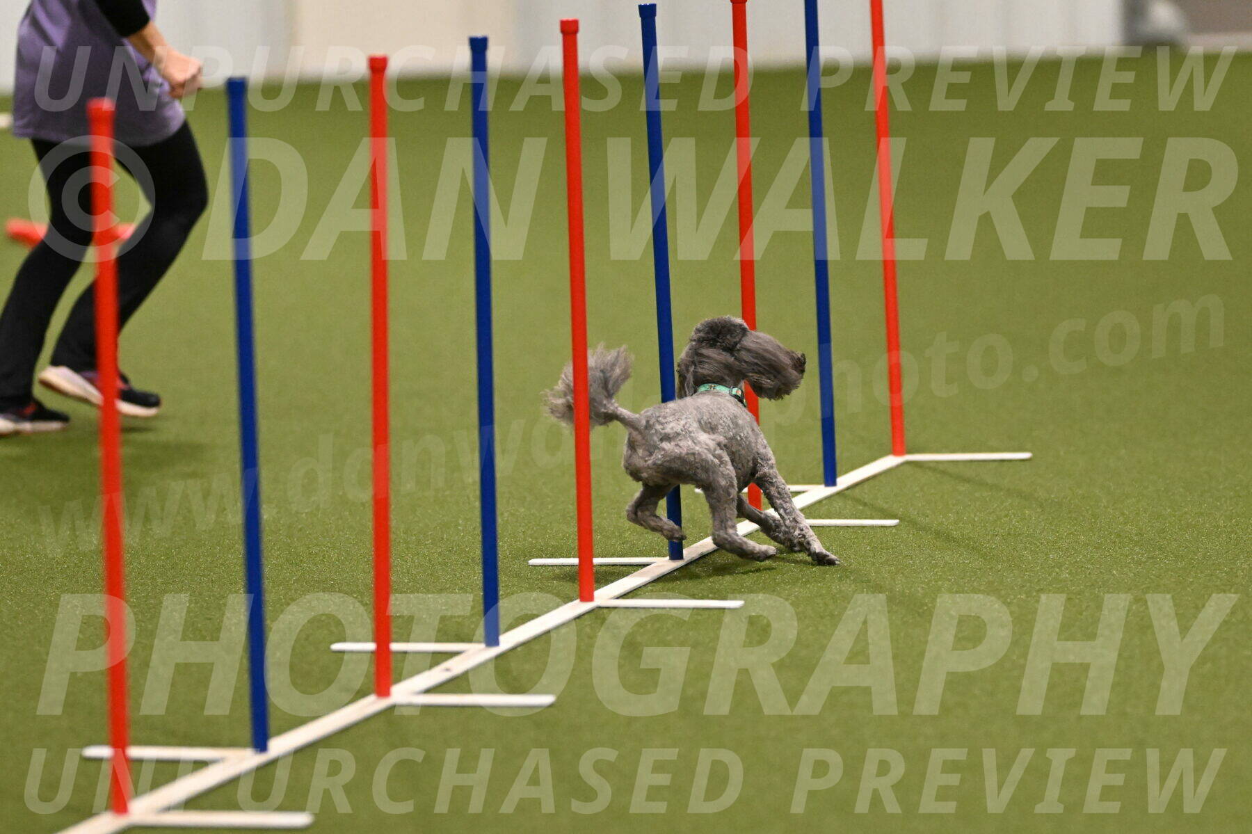 Fizz-Lori-Bieber-00103