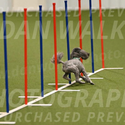 Fizz-Lori-Bieber-00103