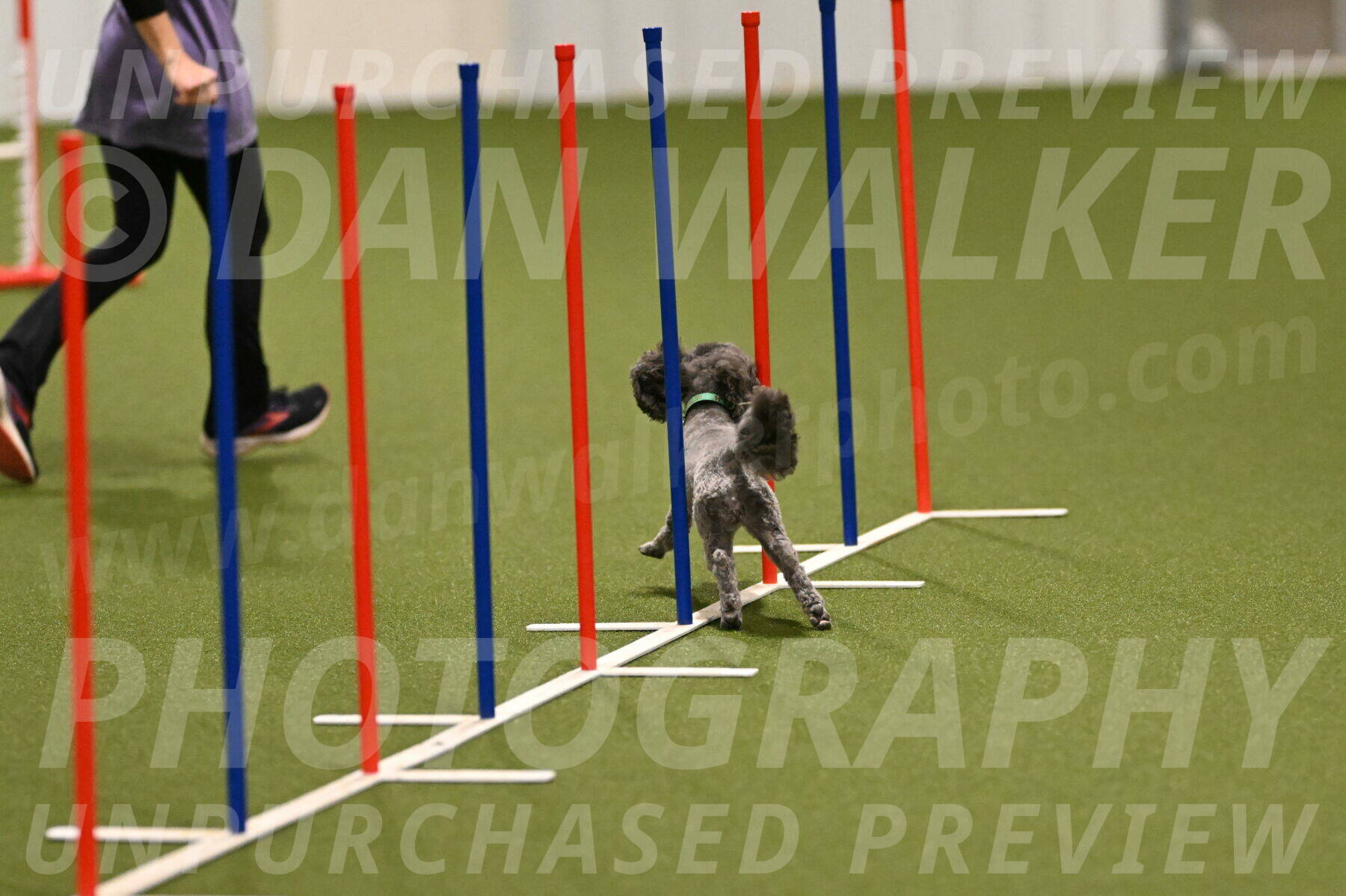 Fizz-Lori-Bieber-00104