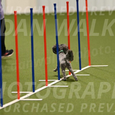 Fizz-Lori-Bieber-00104