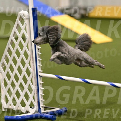 Fizz-Lori-Bieber-00105