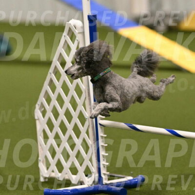 Fizz-Lori-Bieber-00106