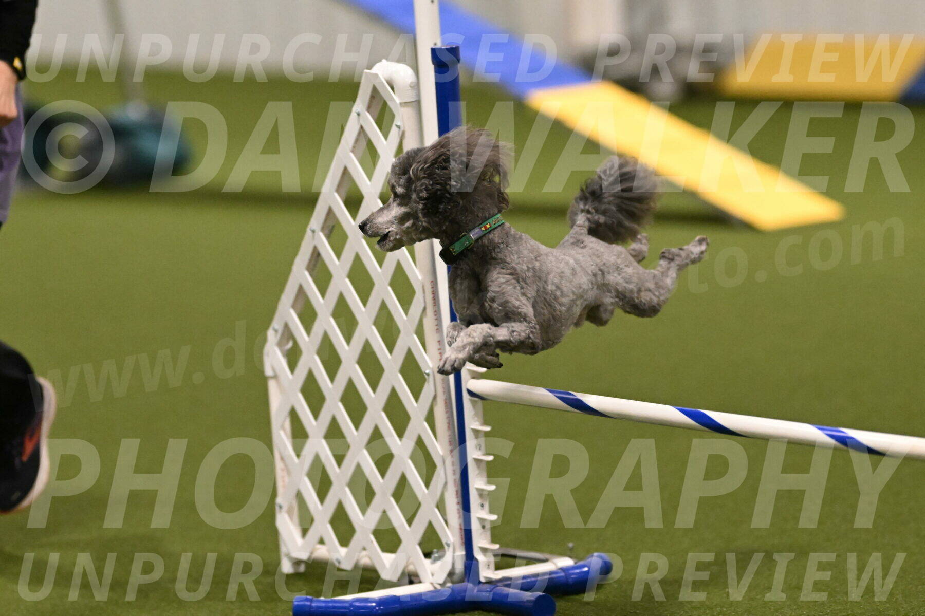 Fizz-Lori-Bieber-00106