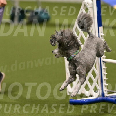 Fizz-Lori-Bieber-00107