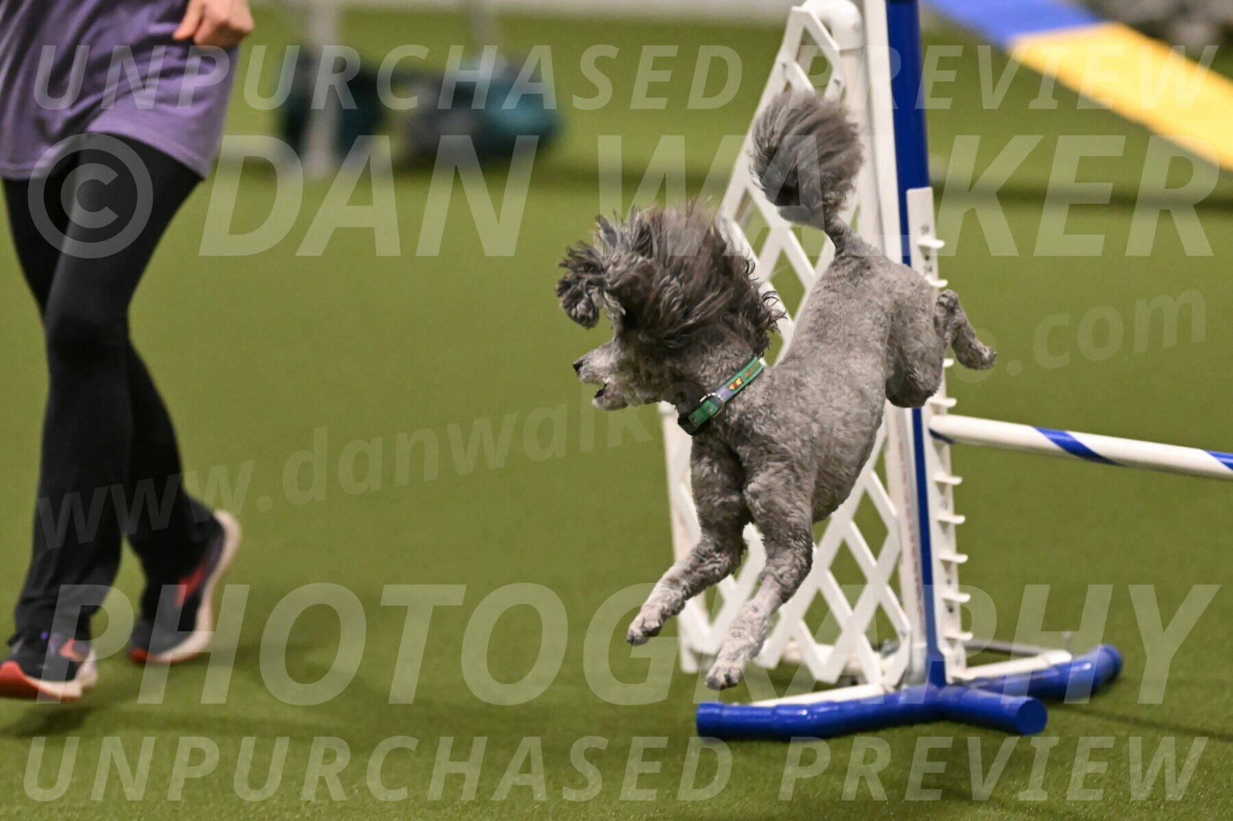 Fizz-Lori-Bieber-00107