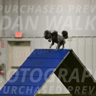 Fizz-Lori-Bieber-00108