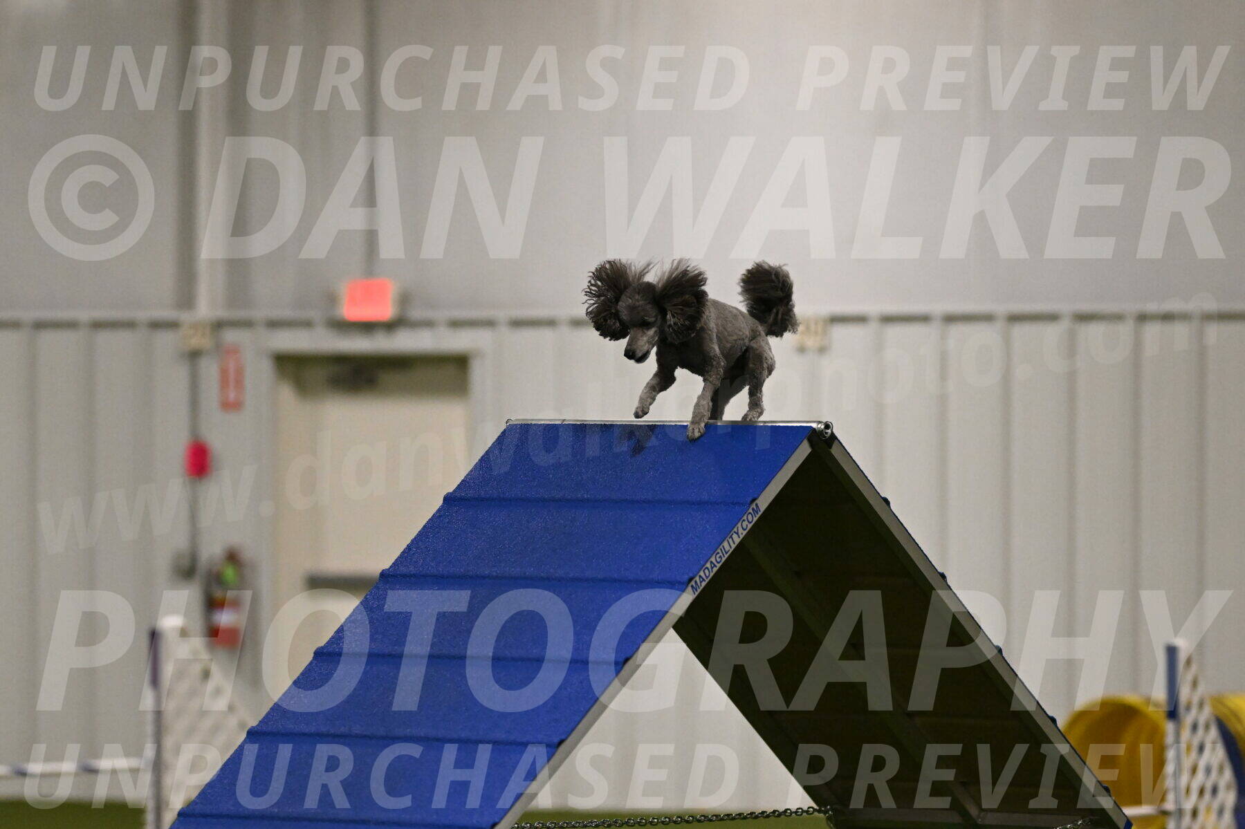 Fizz-Lori-Bieber-00108