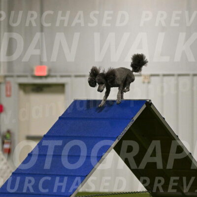 Fizz-Lori-Bieber-00109