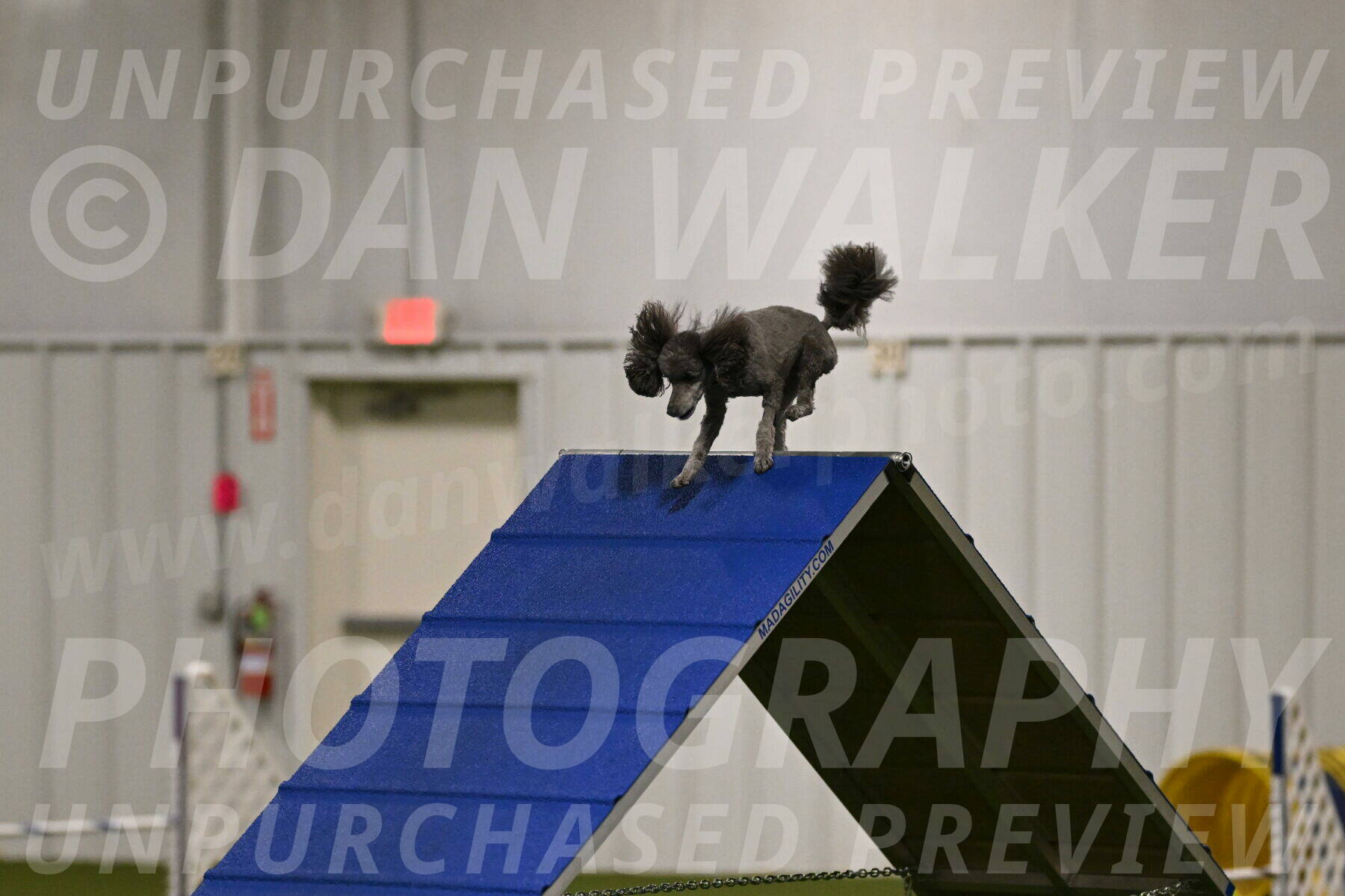 Fizz-Lori-Bieber-00109