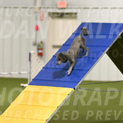 Fizz-Lori-Bieber-00110