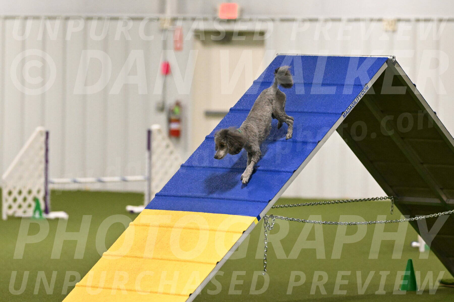 Fizz-Lori-Bieber-00110