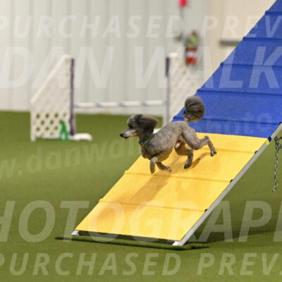 Fizz-Lori-Bieber-00111