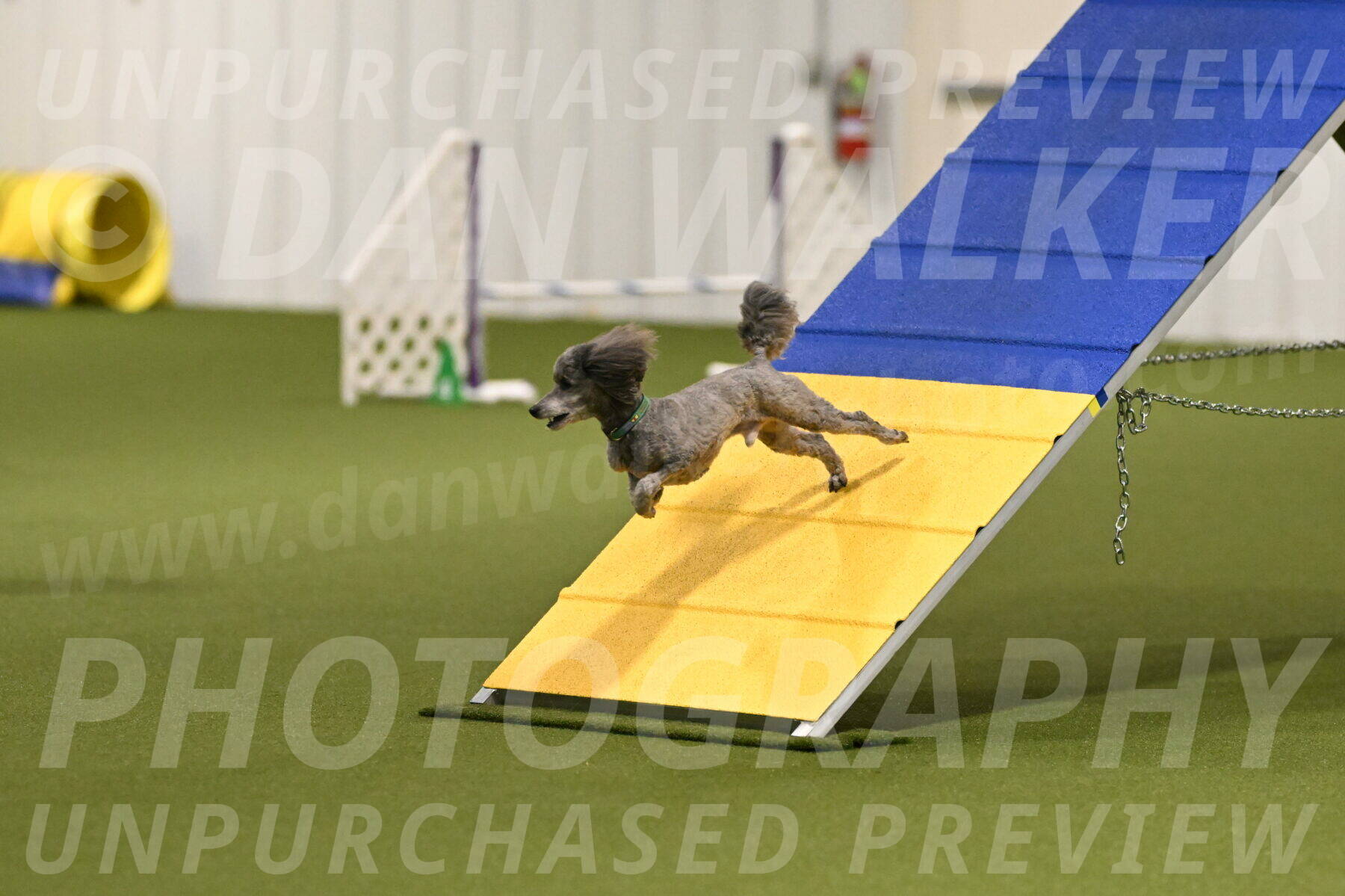 Fizz-Lori-Bieber-00112