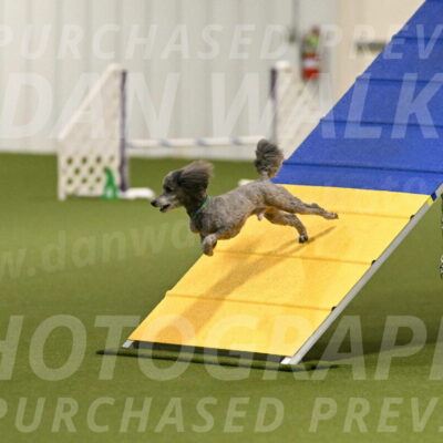 Fizz-Lori-Bieber-00112