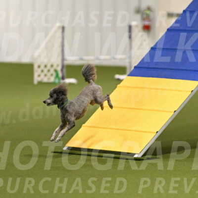 Fizz-Lori-Bieber-00113