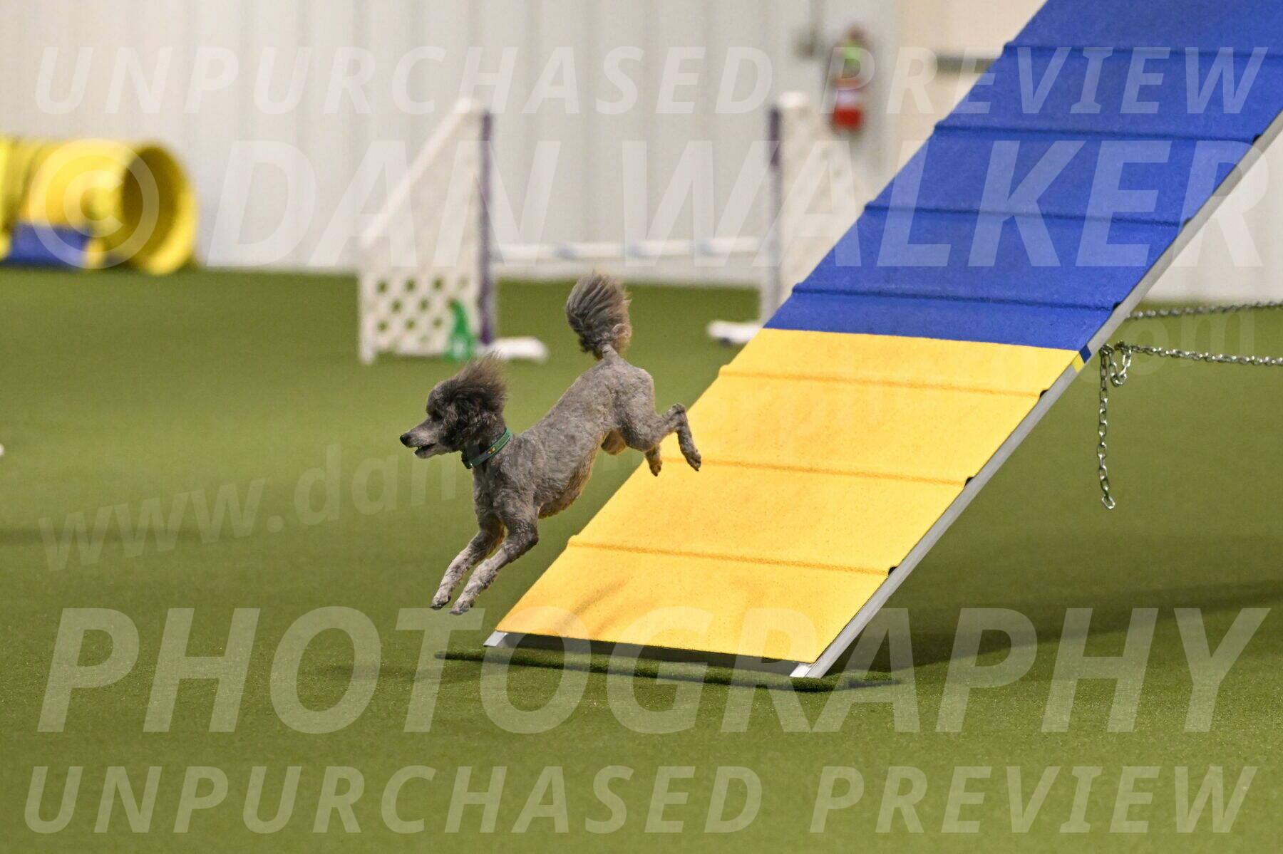 Fizz-Lori-Bieber-00113