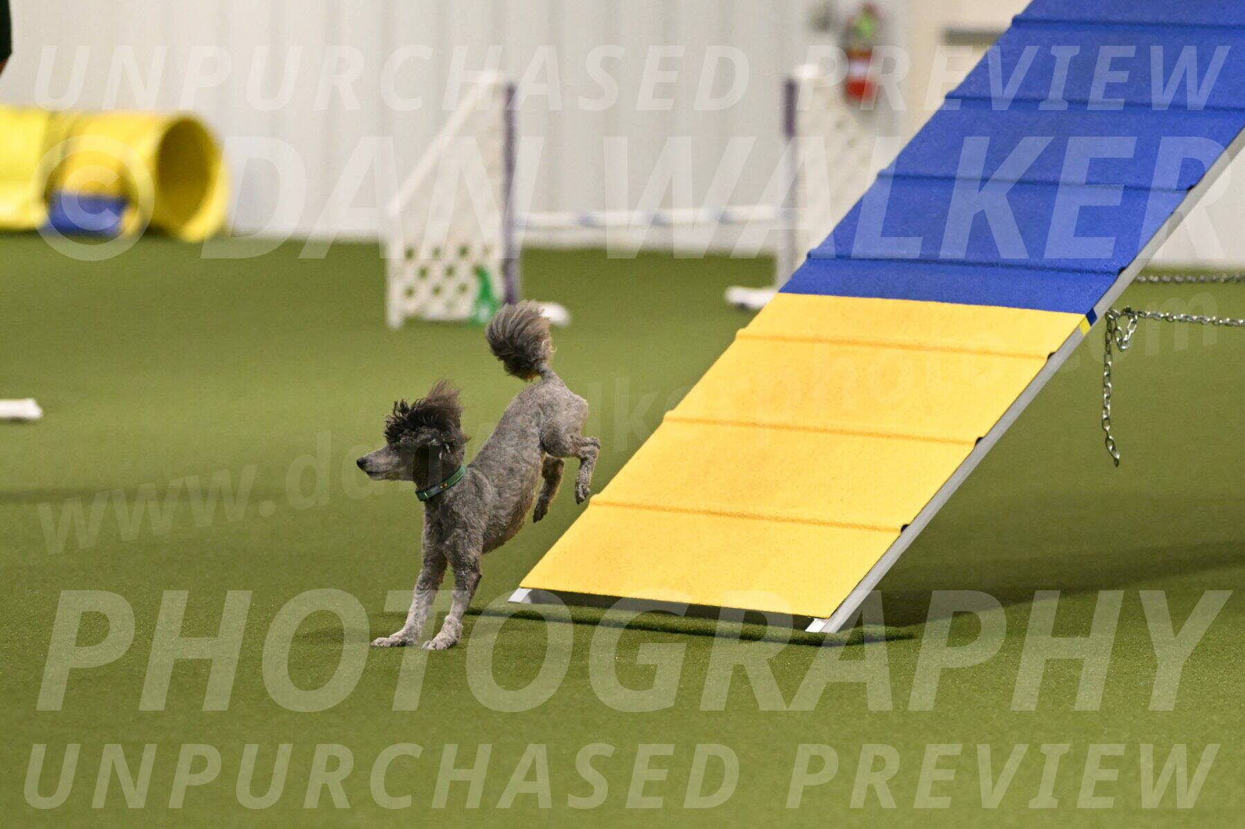 Fizz-Lori-Bieber-00114