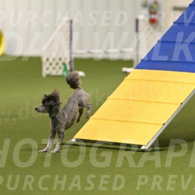 Fizz-Lori-Bieber-00114